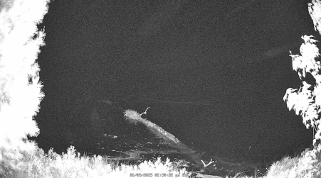 Image from 2025-06-08