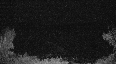 Image from 2025-06-08