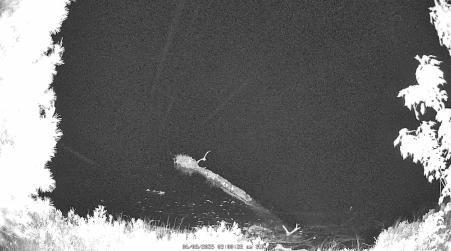 Image from 2025-06-08