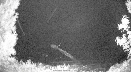 Image from 2025-06-08