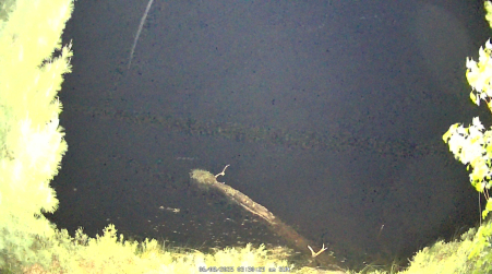 Image from 2025-06-08