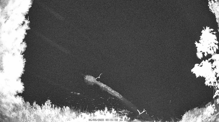 Image from 2025-06-08