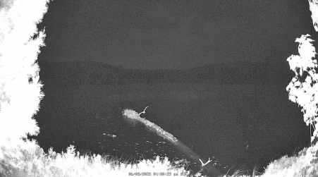 Image from 2025-06-08