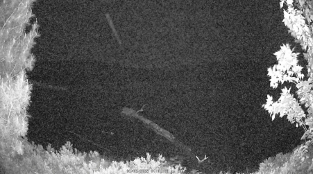 Image from 2025-06-08