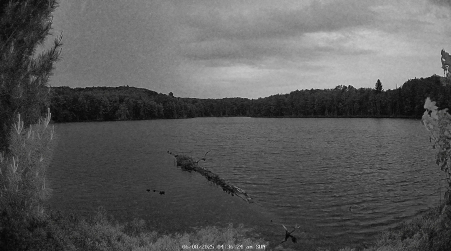 Image from 2025-06-08