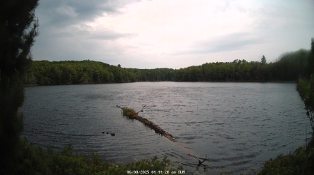 Image from 2025-06-08