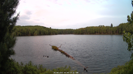 Image from 2025-06-08