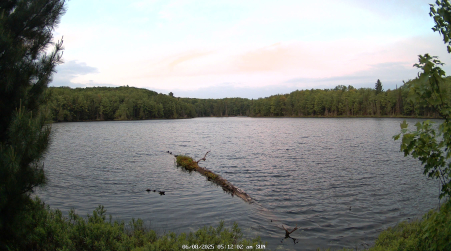 Image from 2025-06-08