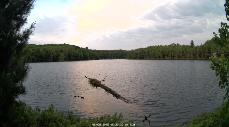 Image from 2025-06-08