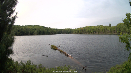 Image from 2025-06-08