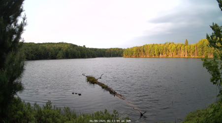 Image from 2025-06-08