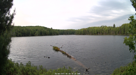 Image from 2025-06-08