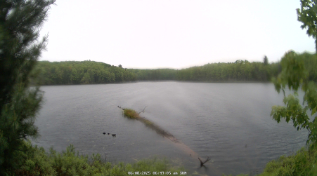 Image from 2025-06-08