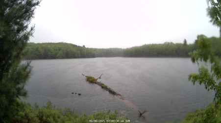 Image from 2025-06-08