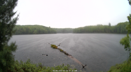Image from 2025-06-08