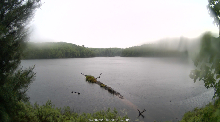 Image from 2025-06-08