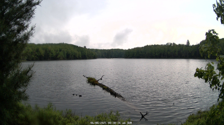 Image from 2025-06-08