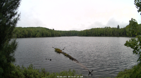 Image from 2025-06-08