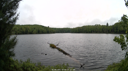 Image from 2025-06-08