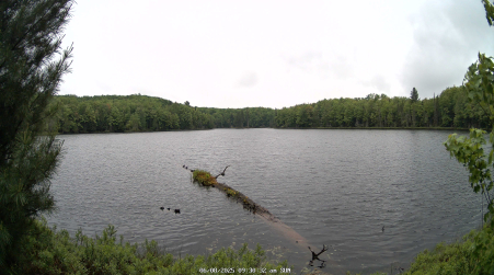 Image from 2025-06-08