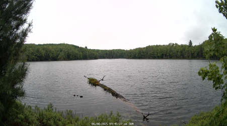 Image from 2025-06-08