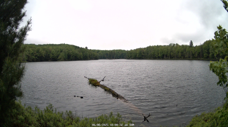 Image from 2025-06-08