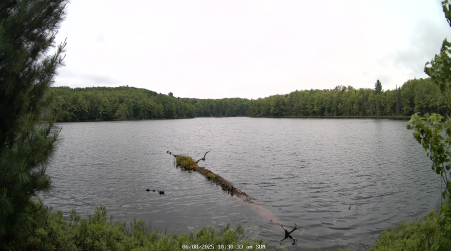 Image from 2025-06-08