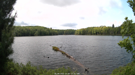 Image from 2025-06-08