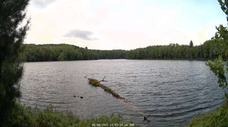 Image from 2025-06-08