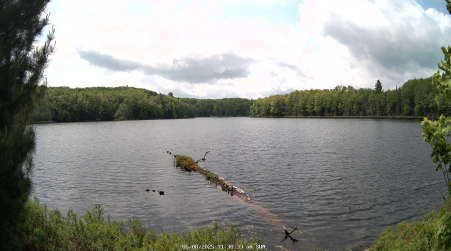 Image from 2025-06-08