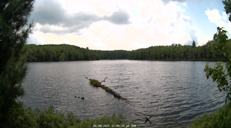 Image from 2025-06-08