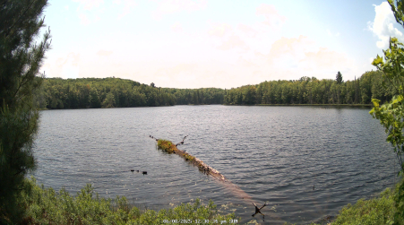 Image from 2025-06-08