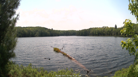 Image from 2025-06-08