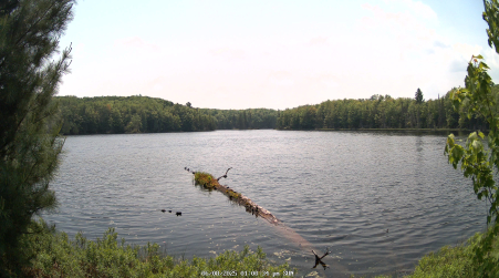 Image from 2025-06-08