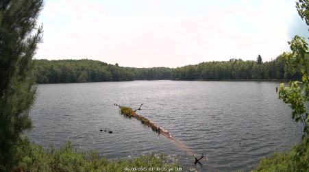 Image from 2025-06-08