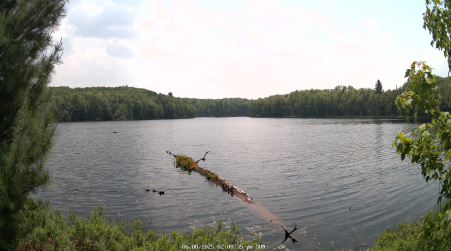 Image from 2025-06-08
