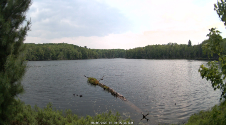 Image from 2025-06-08