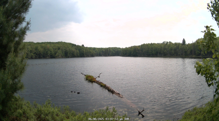 Image from 2025-06-08