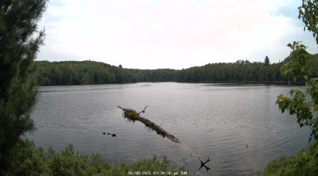 Image from 2025-06-08