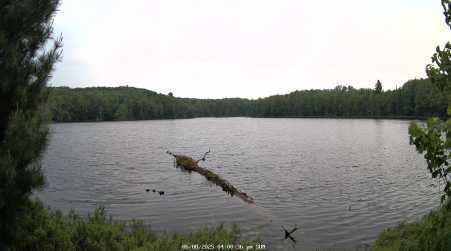 Image from 2025-06-08