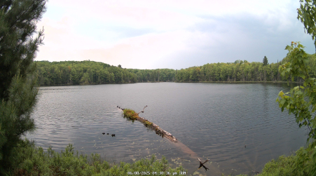 Image from 2025-06-08