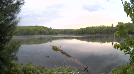 Image from 2025-06-08