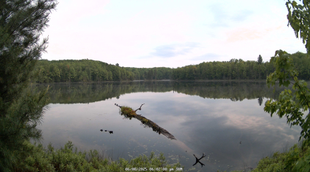 Image from 2025-06-08
