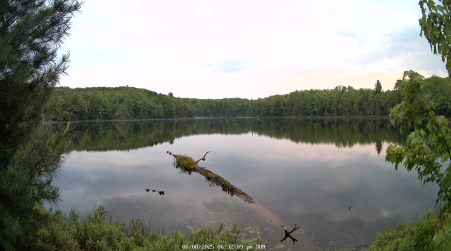 Image from 2025-06-08