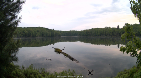 Image from 2025-06-08