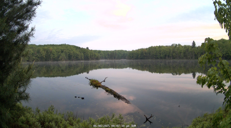 Image from 2025-06-08