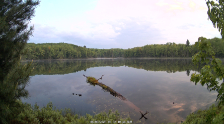 Image from 2025-06-08