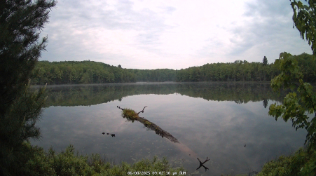 Image from 2025-06-08