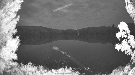 Image from 2025-06-08