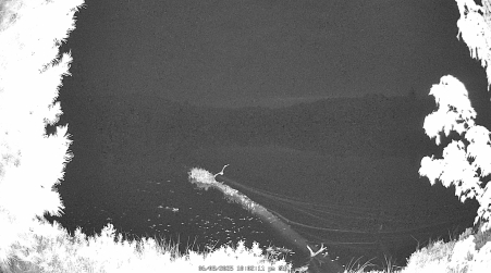 Image from 2025-06-08